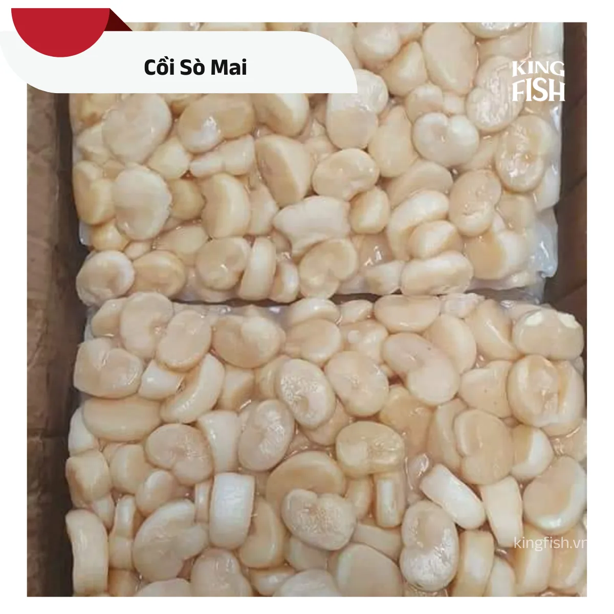 phan-phoi-coi-so-mai-kingfish