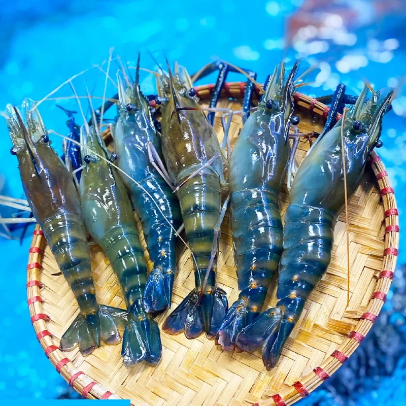 cach-lua-chon-tom-canh-xanh