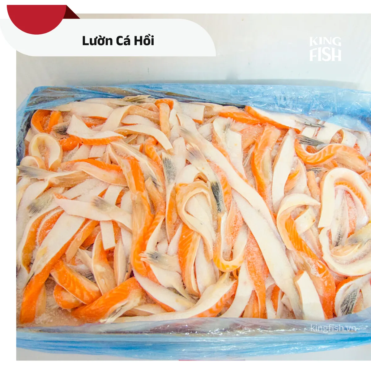 Lườn Cá Hồi Đông Lạnh