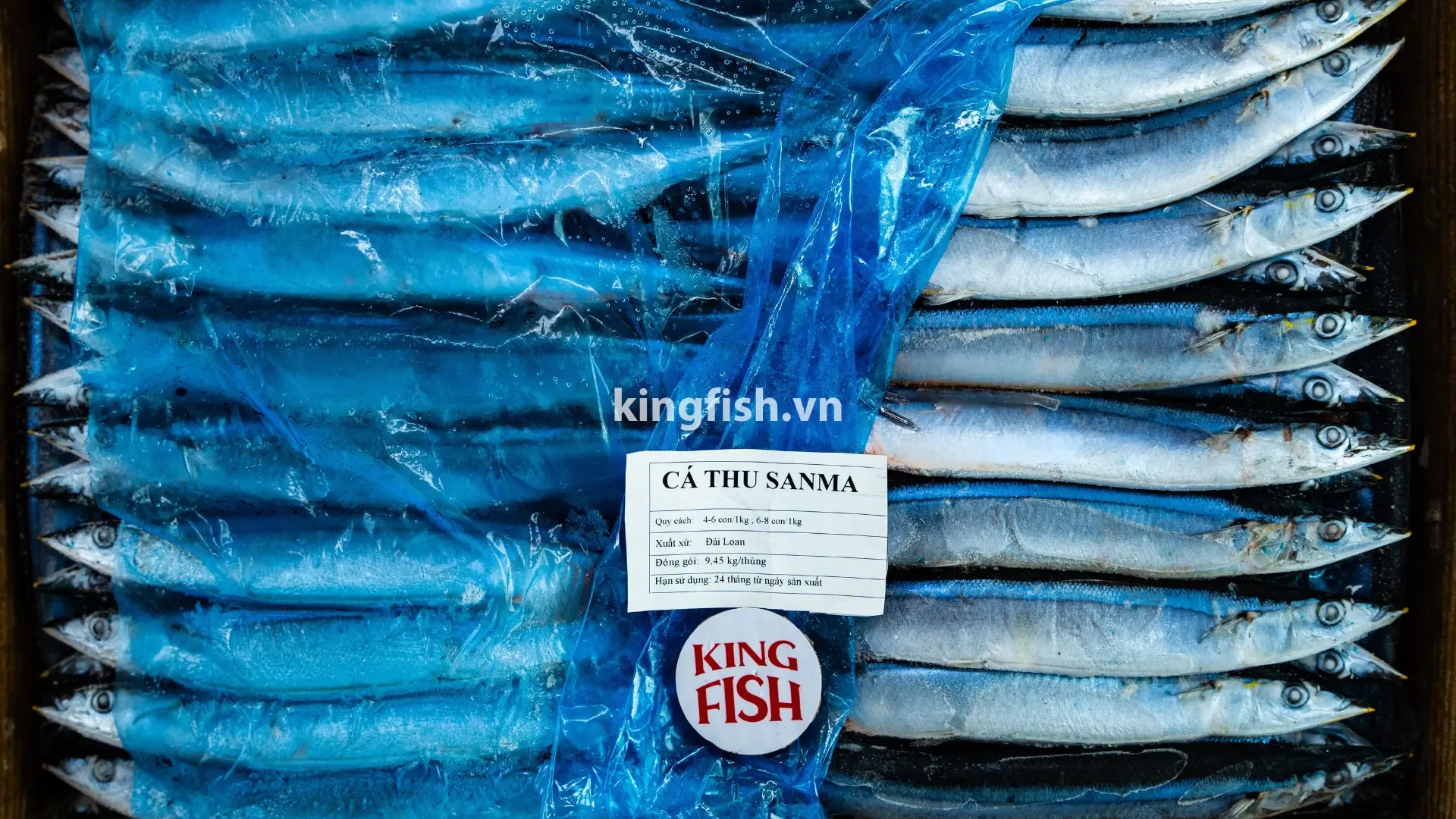 Cá Thu Sanma Đông Lạnh