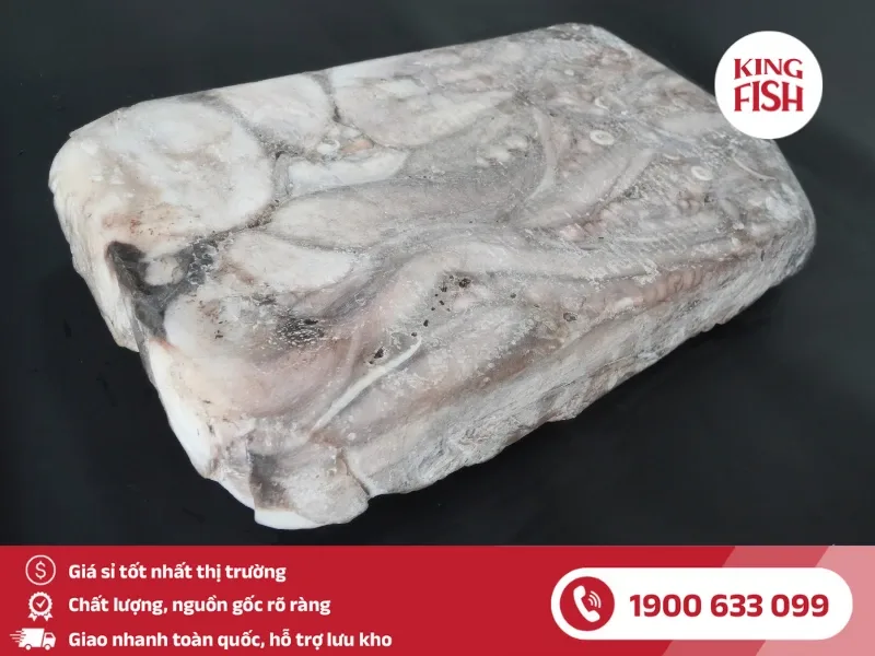 kingfish-phan-phoi-si-bach-tuoc-mada-xanh