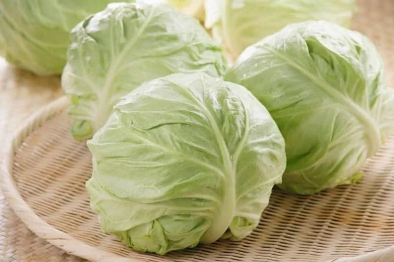 huong-dan-cach-nau-mon-bap-cai-cuon-tom-hap