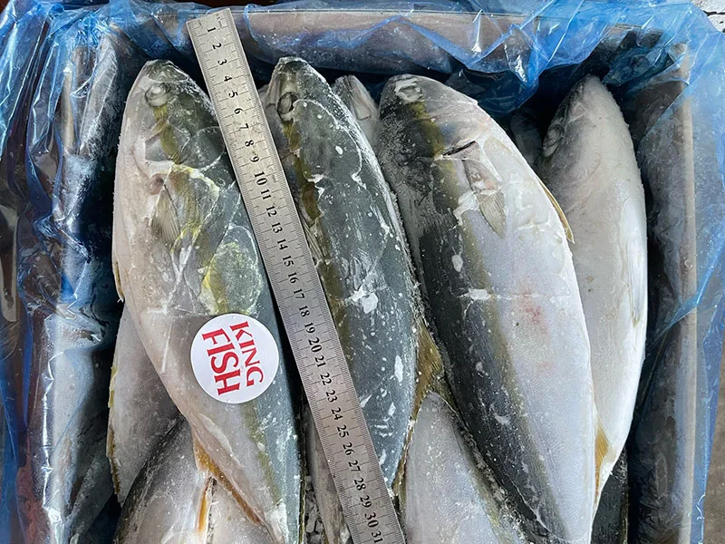 kingfish-cung-cap-ca-cam-dong-lanh-gia-si-tot-nhat-toan-quoc