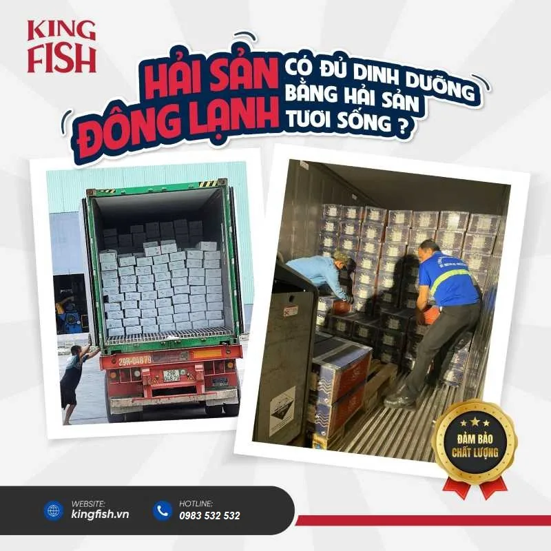 kingfish-cung-cap-tom-hum-dong-lanh-so-luong-lon