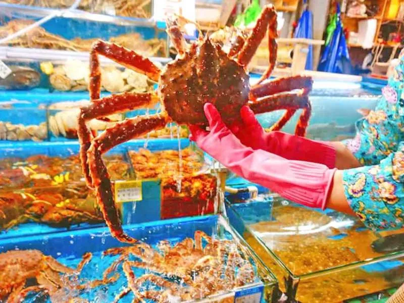 Dịch Vụ Hỗ Trợ Tối Đa Của KINGFISH - Nguồn Nhập Hàng Sỉ Hải Sản Uy Tín