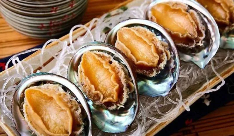 Bào Ngư - Siêu Thực Phẩm Cho Trẻ