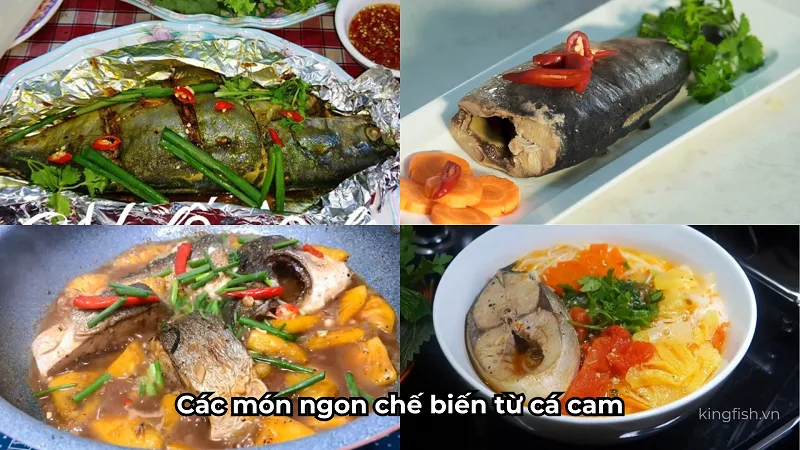 tong-hop-cac-mon-ngon-che-bien-tu-ca-cam