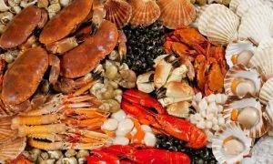 Triết Lý Vận Hành Và Cam Kết Thương Hiệu Của KINGFISH