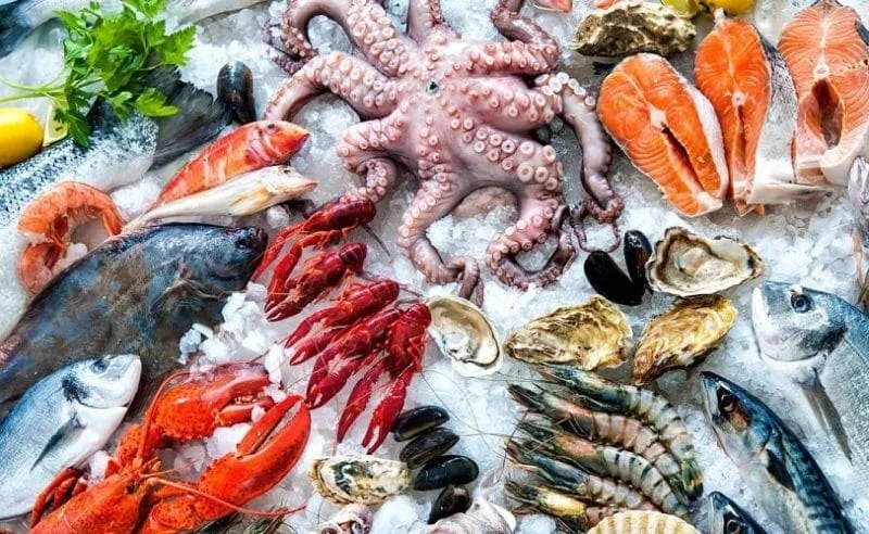 Giới Thiệu Về KINGFISH - Nguồn Nhập Hàng Sỉ Hải Sản Uy Tín