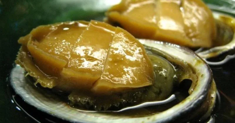 cong-dung-cua-bao-ngu-doi-voi-suc-khoe-la-gi