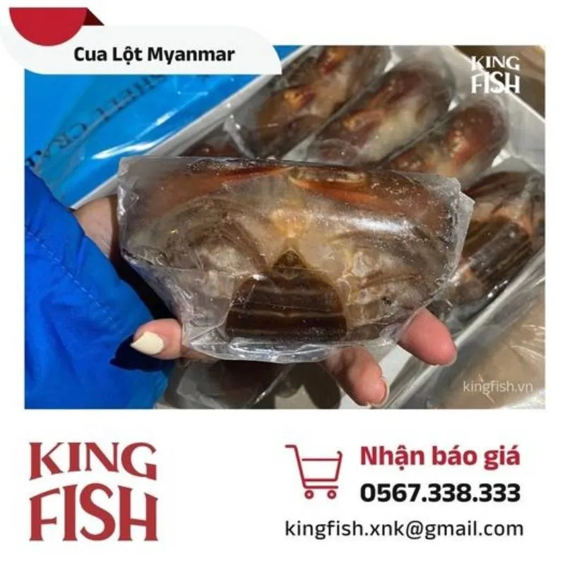 Lựa Chọn Thông Minh - KINGFISH: Nhà Nhập Khẩu và Phân Phối Thực Phẩm Chuyên Nghiệp