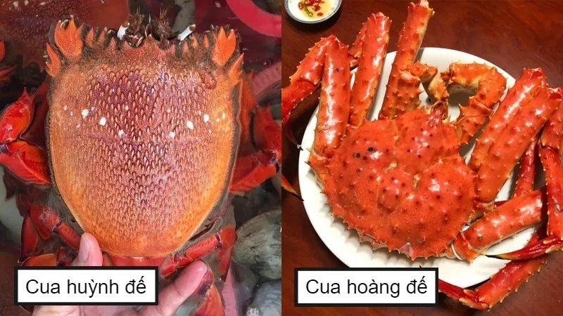 phan-biet-cua-hoang-de-va-cua-huynh-de-nhu-the-nao