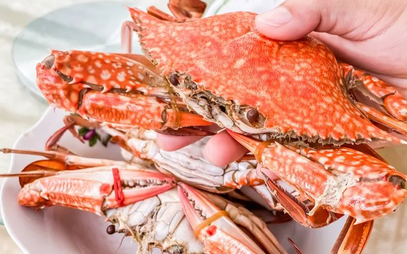 Cách chọn ghẹ chắc thịt không phải ai cũng biết
