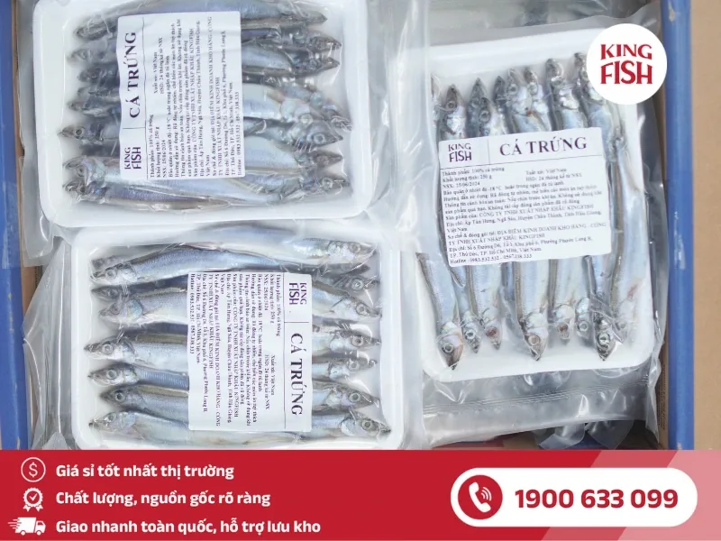 kingfish-phan-phoi-ca-trung-nauy