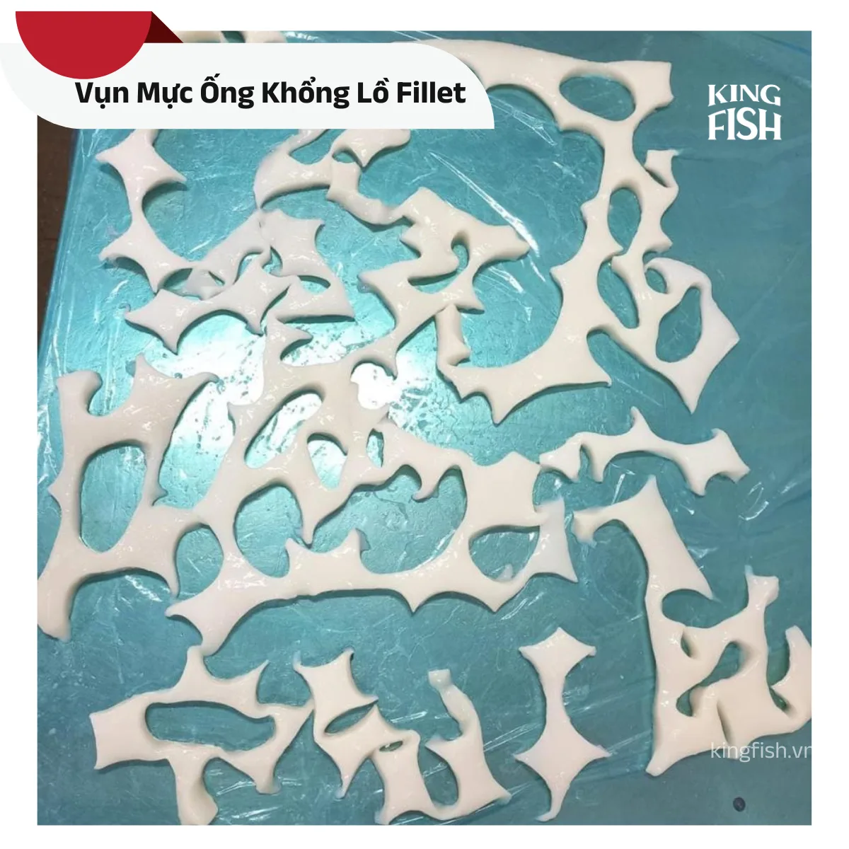 vun-muc-khong-lo-kingfish