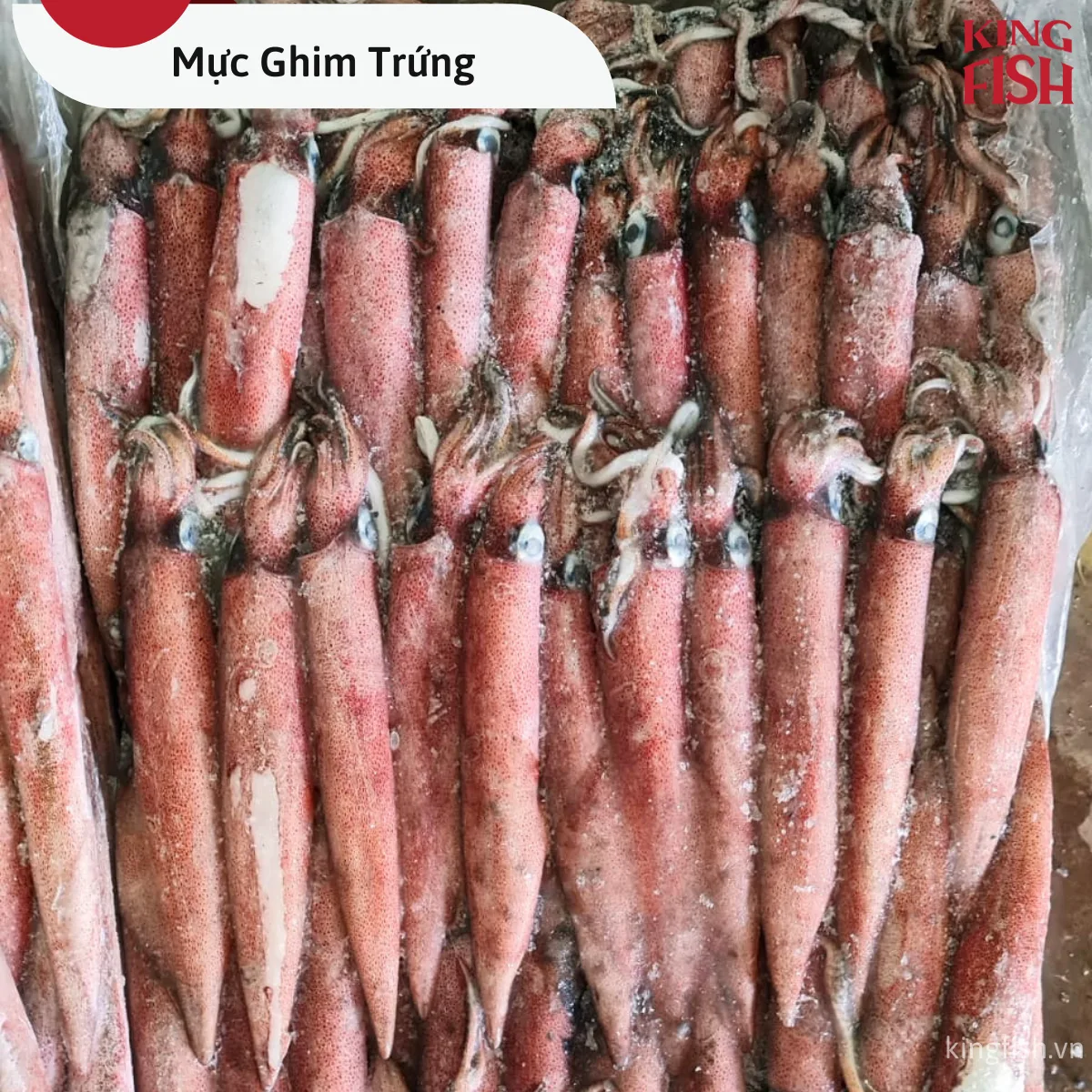 kingfish-phan-phoi-muc-ghim-trung-gia-tot