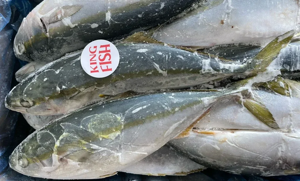 ca-cam-dong-lanh-gia-si-tot-nhat-tai-KINGFISH
