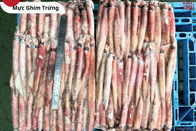 muc-ghim-trung-kingfish-phan-phoi