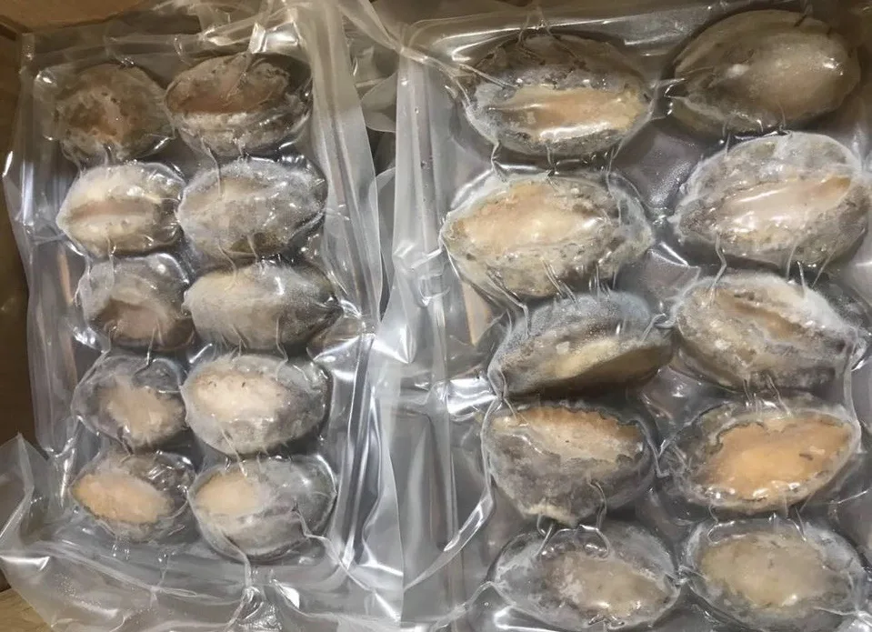 co-nen-lua-chon-bao-ngu-dong-lanh-de-su-dung-khong