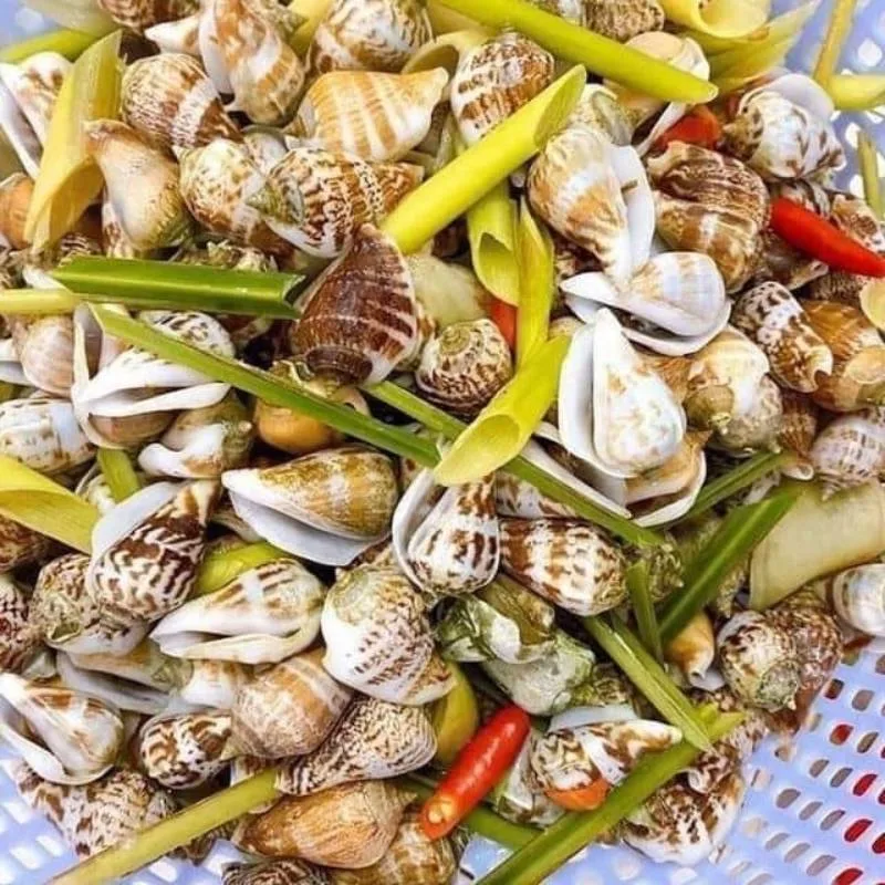 Chọn Ốc Nhảy: Mẹo Chọn Lựa Những Con Tươi Ngon