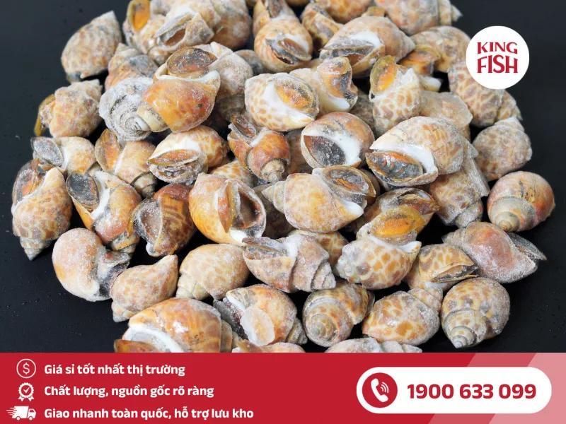 kingfish-phan-phoi-si-oc-huong-que