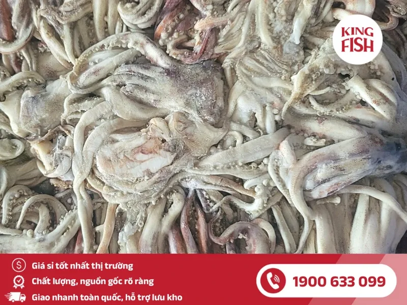 kingfish-phan-phoi-si-rau-muc-dai-loan