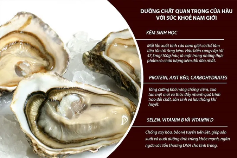 thanh-phan-cac-chat-dinh-duong-co-trong-hau