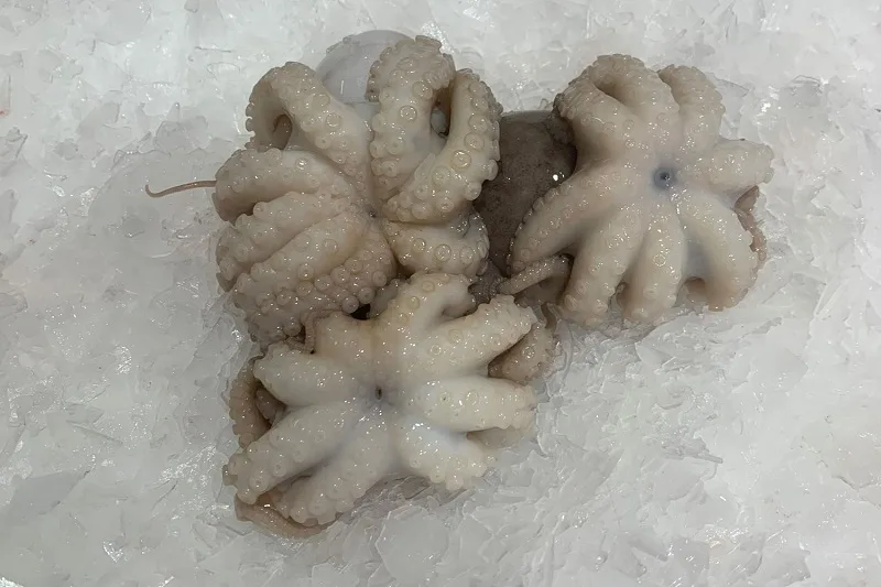bach-tuoc-gia-bao-nhieu-1kg