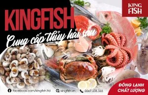 Chất Lượng Hải Sản Và Quy Trình Kiểm Soát Tại KINGFISH - Nguồn Nhập Hàng Sỉ Hải Sản Uy Tín
