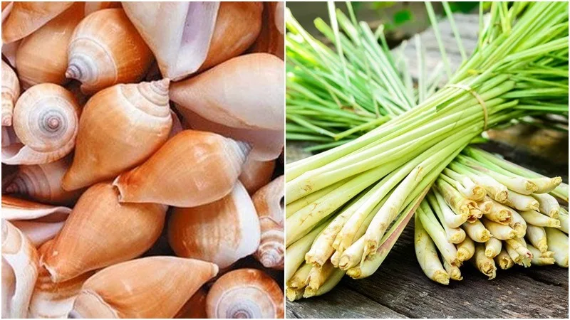 Hương Thơm Của Sả, Cay Nồng Của Ớt và ốc nhảy