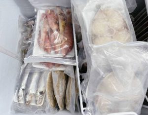 CÁCH BẢO QUẢN HẢI SẢN ĐÔNG LẠNH GIỮ TRỌN VỊ NGON NGUYÊN BẢN