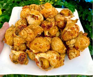 Món ốc bulot rang muối cực ngon, dễ làm