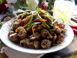 Món ăn hấp dẫn: Ốc hương xào dừa - Hương vị độc đáo từ biển cả