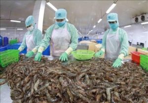 Dự đoán các mặt hàng sẽ khan hiếm, tỉ lệ cầu cao của ngành thuỷ sản Việt Nam năm 2024